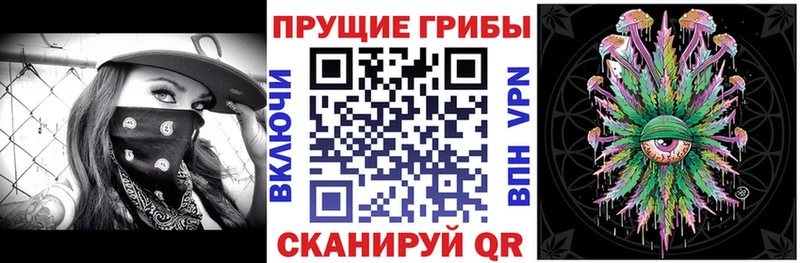 Галлюциногенные грибы прущие грибы  Купить закладки  Белогорск 
